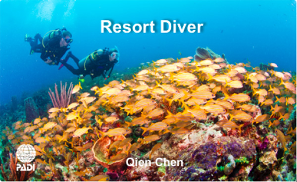 12/12正式上線！PADI 最新課程【休閑潛水員Resort Diver】 丨 一天拿證，潛遍全球